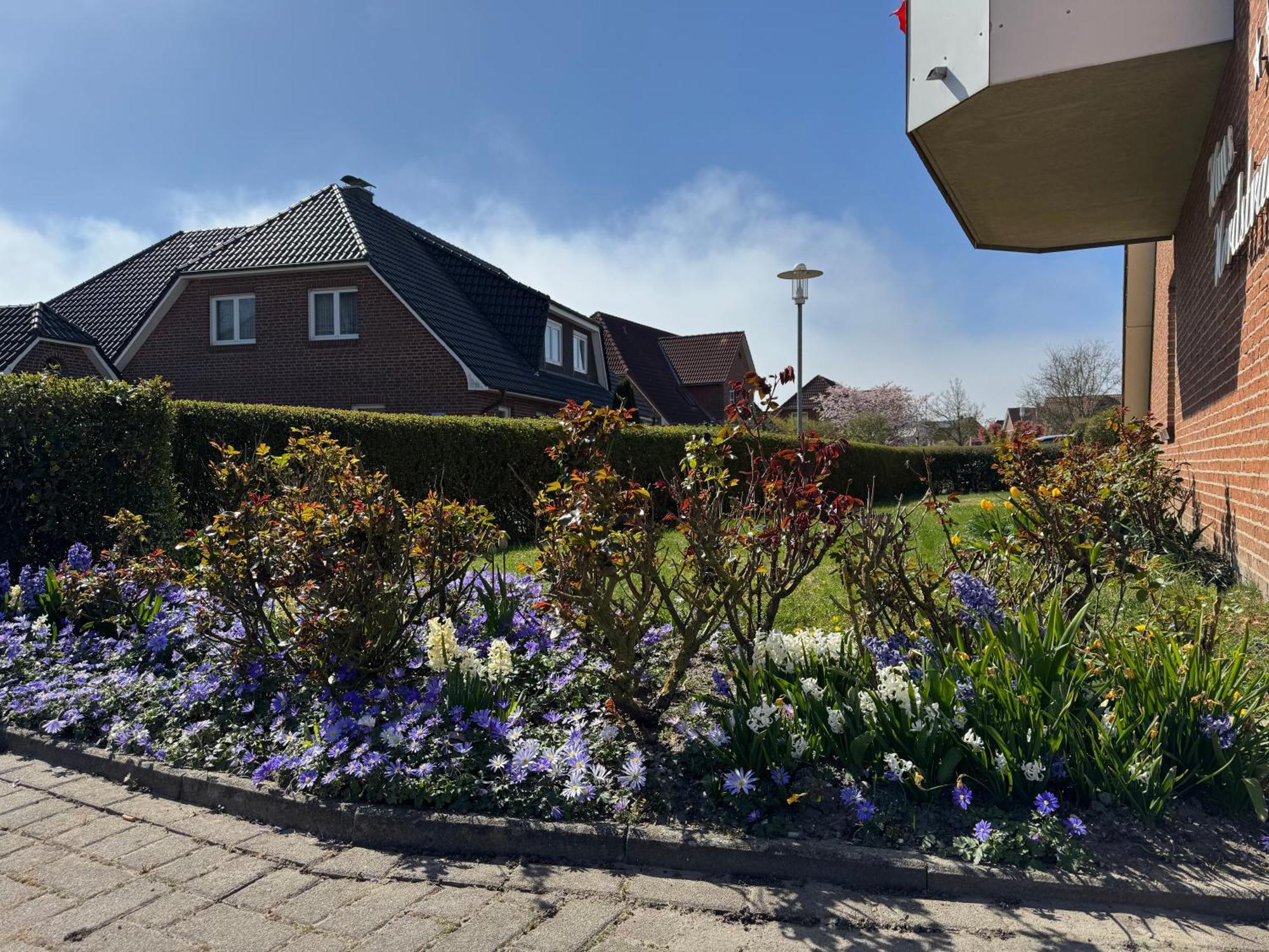 Haus Nordstrand بوسم الغرفة الصورة