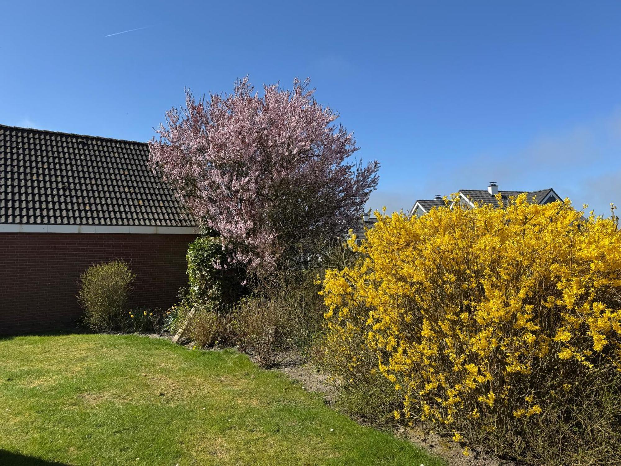 Haus Nordstrand بوسم الغرفة الصورة