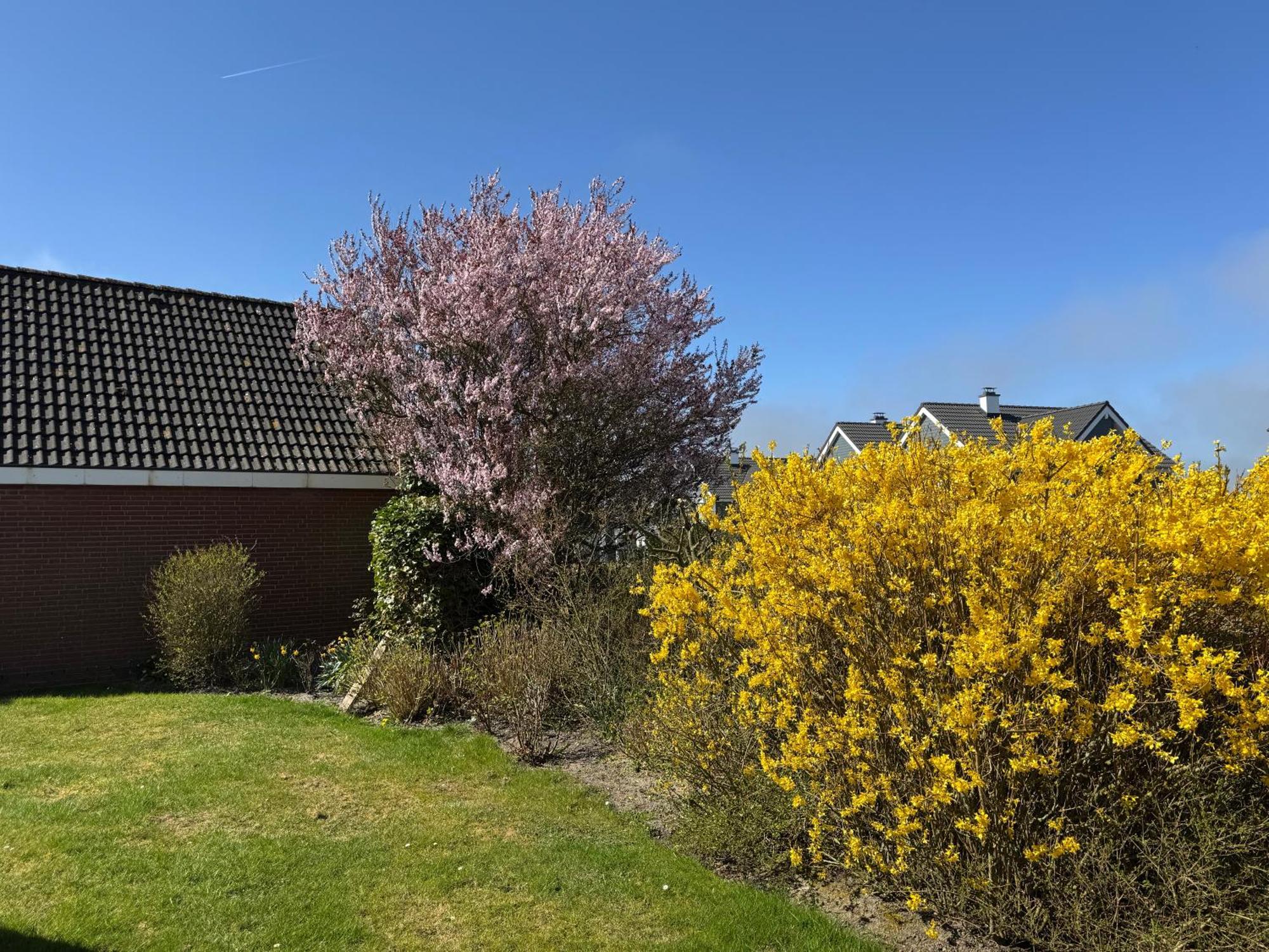 Haus Nordstrand بوسم المظهر الخارجي الصورة